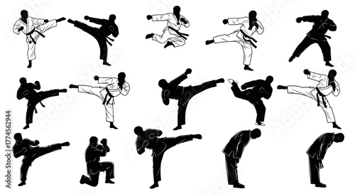 Karate Silhouettes in Action – Martial Arts Poses, Kicks, and Defensive Stances