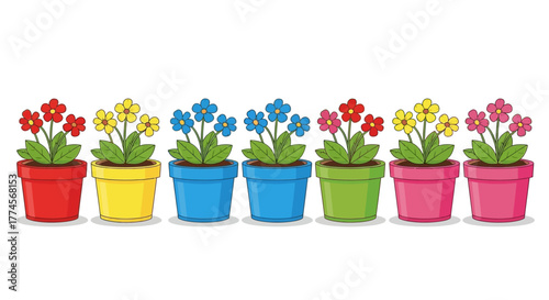 colorful tulips in pots