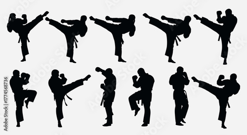 Martial Arts Silhouette Set with Kicks and Defensive Poses