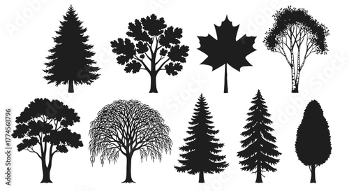 Tree Silhouette Collection – Diverse Black Shapes of Coniferous and Broadleaf Trees on White Background