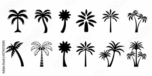 Collection of diverse black silhouette palm trees in various styles and shapes on a white background