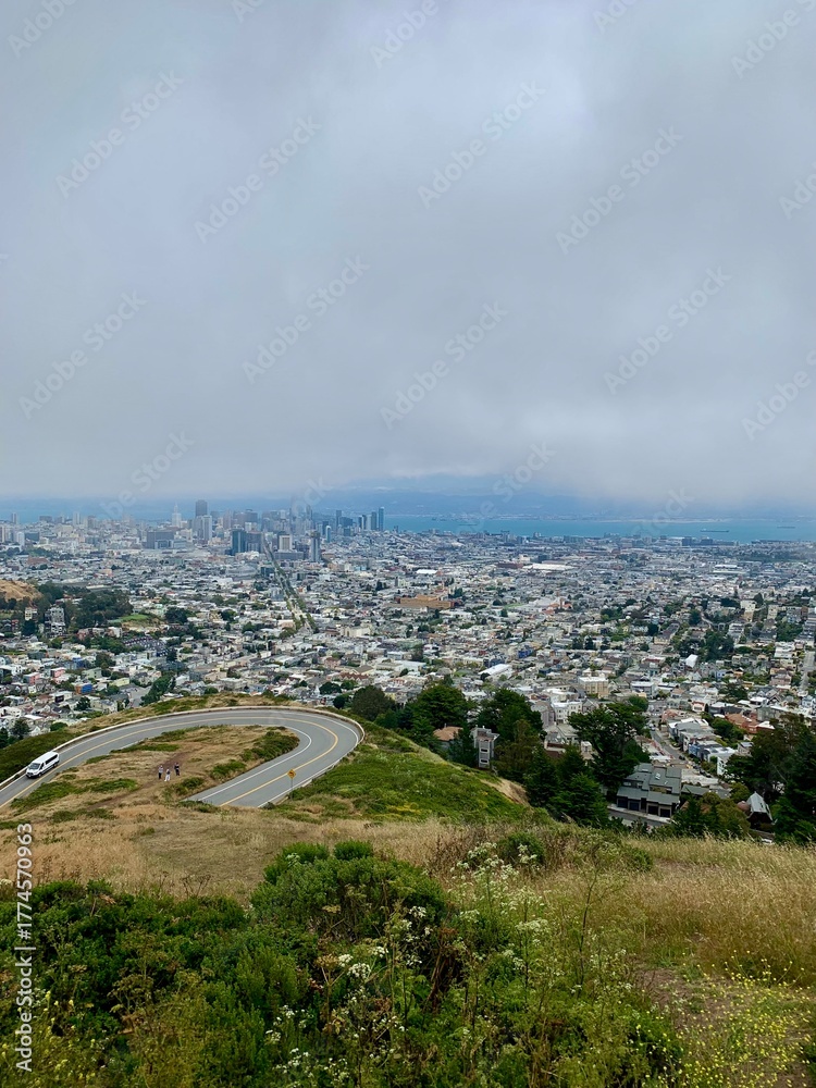 Obraz premium Scenic San Francisco Skyline View from a Hilltop with Cloudy Skies