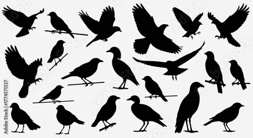 Collection of Black Bird Silhouettes in Various Poses – Minimalist Avian Icons on Light Gray Background