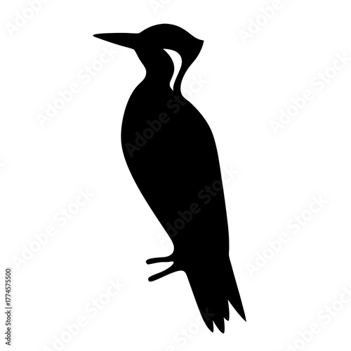 Elegant black silhouette of a striking woodpecker against a pristine white backdrop