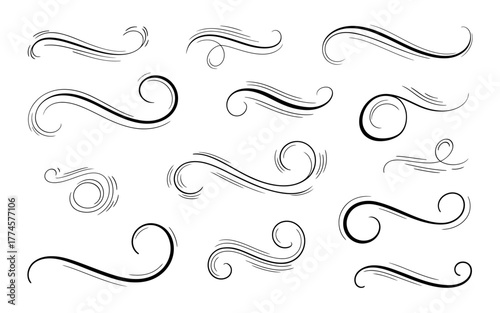 Flourish swirls illustration
