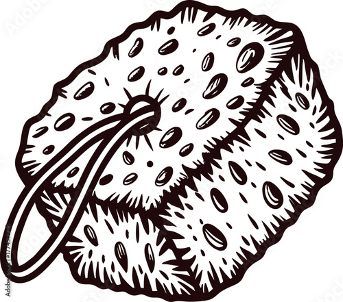 Hand drawn natural sea sponge with loop isolated on white vintage engraved bath accessory illustration