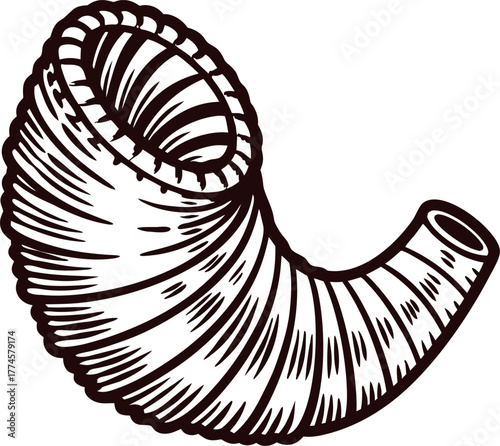 Hand drawn vintage cornucopia horn illustration in engraving style, twisted harvest symbol on white background