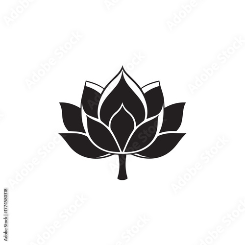 lotus flower vector