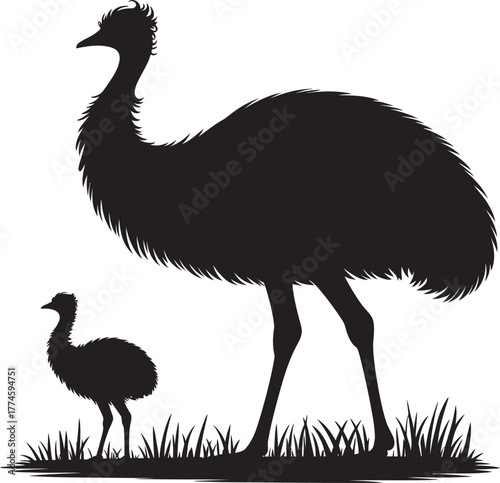 Black silhouette of a majestic emu and its small young chick