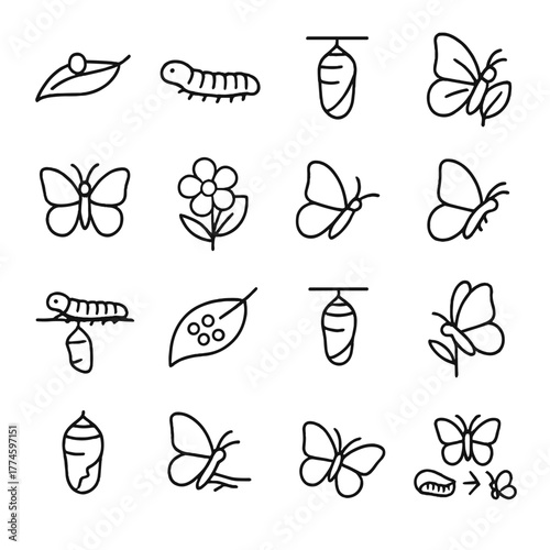 Butterfly life cycle silhouette icon set. featuring caterpillar, chrysalis, butterfly, and leaf symbols