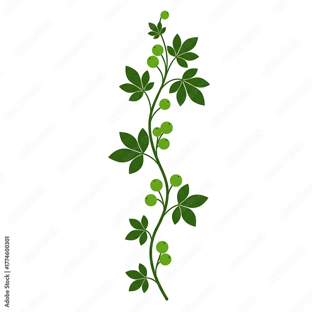 Naklejka premium Green Climbing Vine with Berries and Palmate Leaves