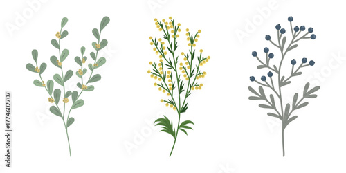 Botanical twigs with berries set. Nature elements. Sprigs with Berries collection