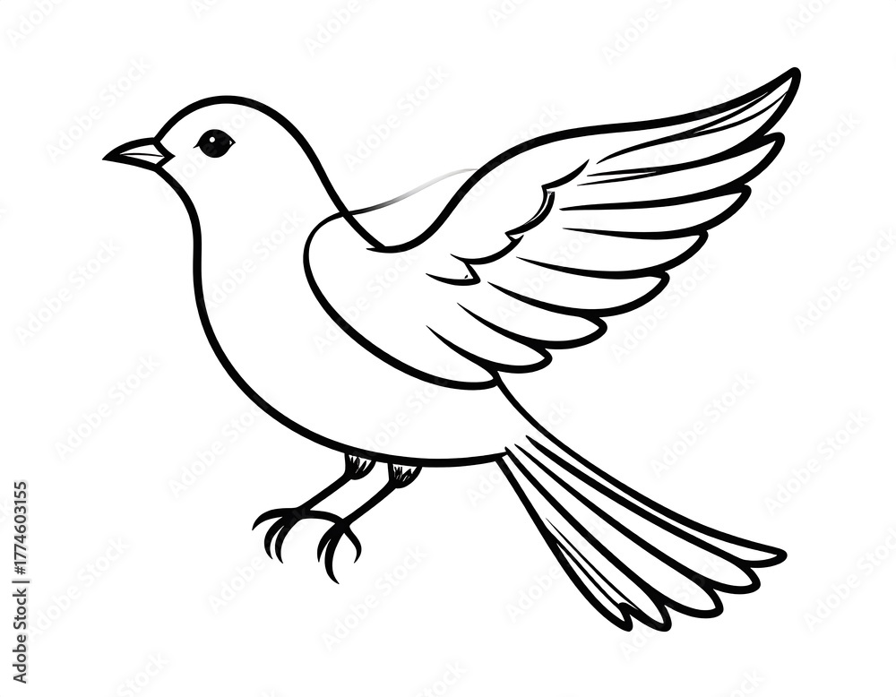 Fototapeta premium Line art of a bird in flight, with detailed wings and tail, on a plain white background. A simple, elegant illustration