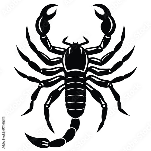Silhouette of a scorpion, a venomous arachnid with pincers and stinger