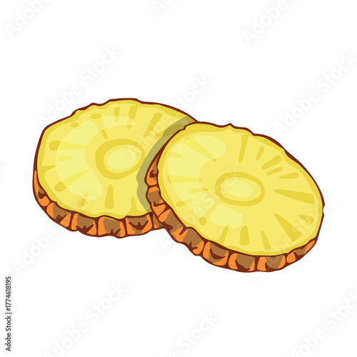 Pineapple fruit circles, ingredient illustration