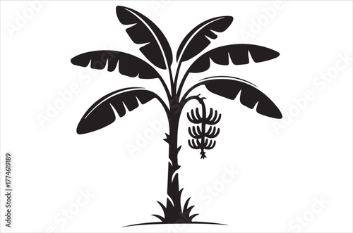 A simple black and white illustration of a banana plant with fruit
