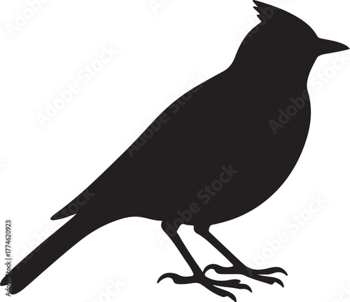 Silhouette lark transparent