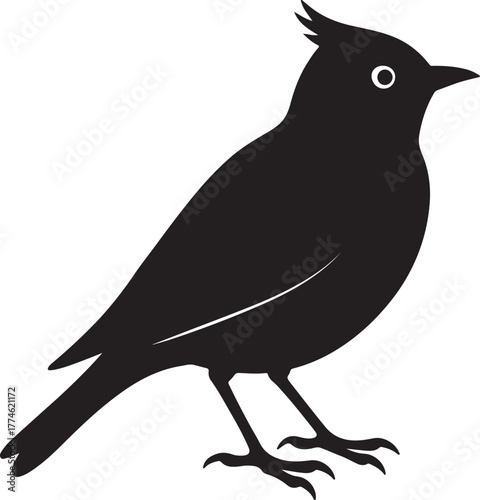 Silhouette lark transparent