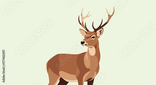 Majestic Stag with Antlers Standing Proudly in a Minimalist Natural Setting, a Symbol of Wilderness