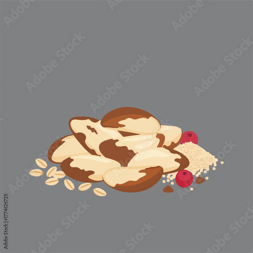 The illustration depicts a pile of Brazil nuts, surrounded by grains, red berries, and oats on a gray background, creating a visual representation of healthy food.