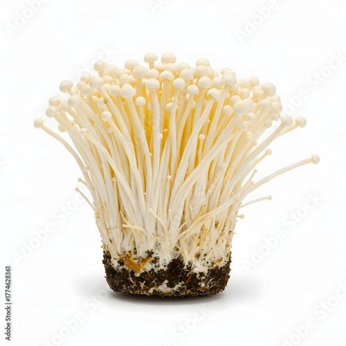 white enoki mushrooms with soil on a white background