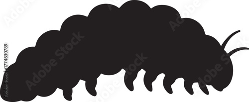  silllhouette larva animal vector