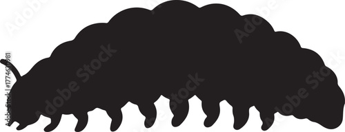  silllhouette larva animal vector