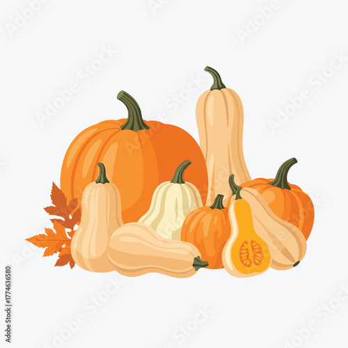 A vibrant arrangement of various orange, white, and beige pumpkins and gourds, accompanied by autumn leaves, symbolizing the harvest season.