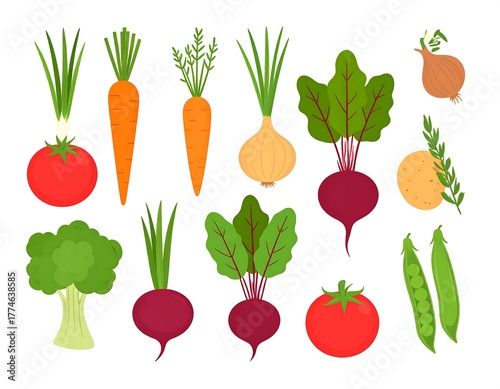 Colorful Fresh Vegetables Collection.