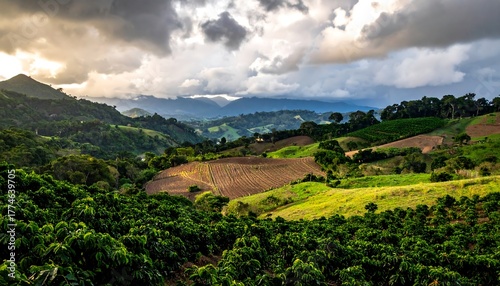 Lush, green valley scene. Rolling hills are cultivated with crops, under a dramatic sky. Sunlight breaks through the clouds, illuminating fields