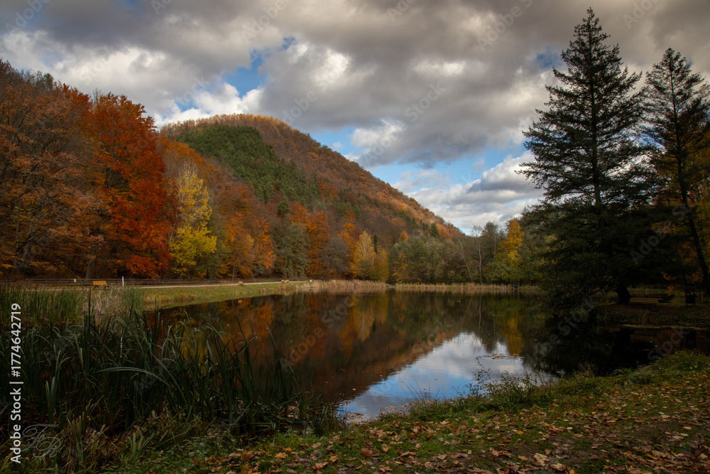 Fototapeta premium autumn landscape with lake