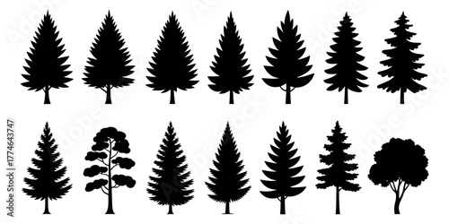 Conifer and Deciduous Tree Silhouette. Two Rows of Forest Trees for Nature, Landscape, Botanical, Outdoor, and Environmental Design Projects in Vector Illustration Style