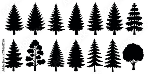 Various silhouette illustrations of trees and coniferous plants for use in design projects and more