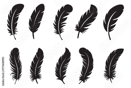 Simple black bird feathers vector illustration, hand-drawn feather collection, nature-inspired silhouette. Realistic black feather silhouette set.