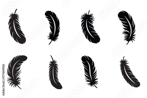 Simple black bird feathers vector illustration, hand-drawn feather collection, nature-inspired silhouette. Realistic black feather silhouette set.