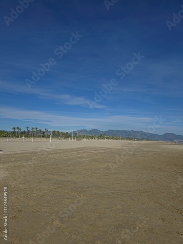 Beautiful beach, mountains, palm trees