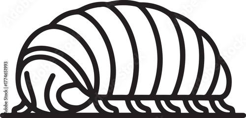 Curled up pill bug vector illustration in line art style isolated on a transparent background