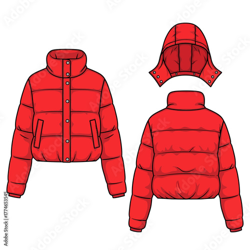 Red puffer jacket illustration, front and back view, with a detachable hood, isolated on white.