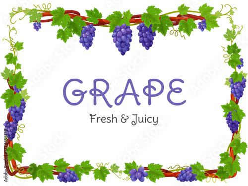 Grape vine frame. Climbing plant with clusters and leaves, organic product, making red wine, black juicy berries, decorative card design, alcohol beverage cartoon flat classy vector concept