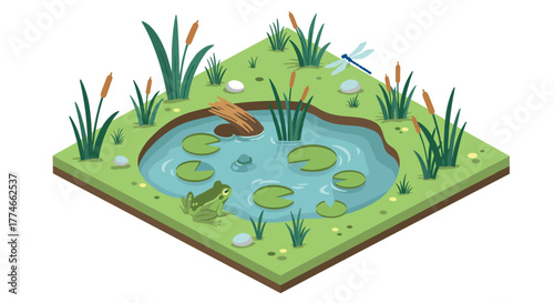 Isometric pond scene with frog, dragonfly, and lilypads in lush wetland environment