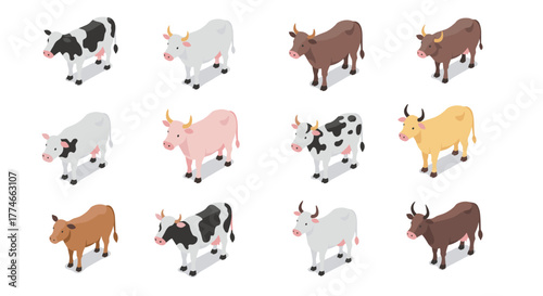 Colorful isometric cows in various patterns and breeds on white background