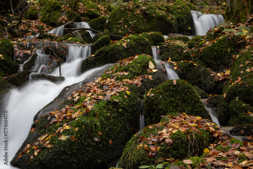 Beautiful Waterfall in Vibrant Autumn Forest