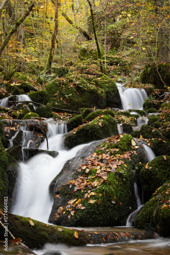 Beautiful Waterfall in Vibrant Autumn Forest