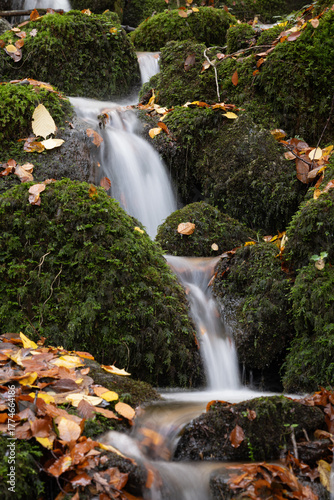 Beautiful Waterfall in Vibrant Autumn Forest