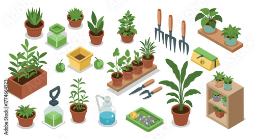 Isometric indoor gardening tools and potted plants collection for home decor