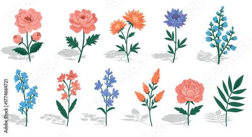 Colorful collection of detailed floral blooms with shadows on white background