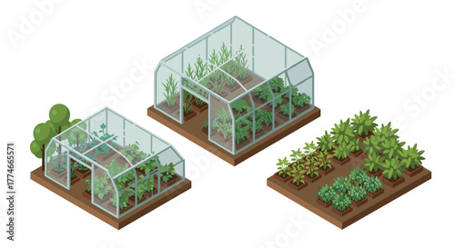 Isometric greenhouse gardens with plant beds and vegetables