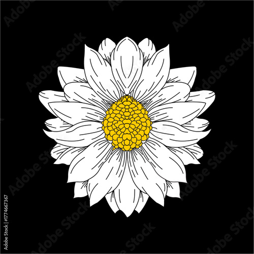 wonderful sun flower design vector