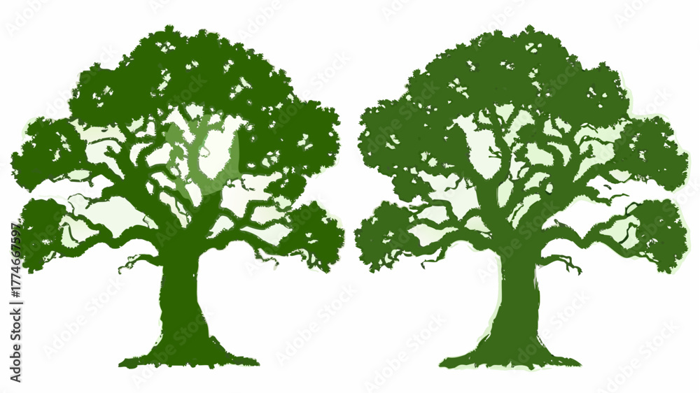 Obraz premium Majestic trees offer natural beauty, perfect for environmental campaigns, botanical illustrations, park designs, and serene landscape visuals with lush foliage
