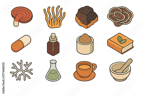 Medicinal Fungi Icons. Medicinal Fungi flat icons: reishi mushroom, cordyceps, chaga, turkey tail, lion’s mane, maitake, capsule pill, tincture bottle, powder jar, herbal book,